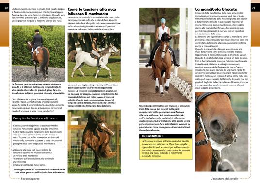 Conoscere i movimenti del cavallo - Gillian Higgins,Stephanie Martin - 6