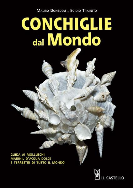 Conchiglie dal mondo. Guida ai molluschi marini, d'acqua dolce e terrestri di tutto il mondo. Ediz. illustrata - Mauro Doneddu,Egidio Trainito - copertina