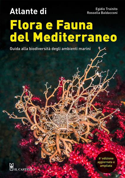 Atlante di flora e fauna del Mediterraneo. Guida alla biodiversità degli ambienti marini. Ediz. a colori - Egidio Trainito,Rossella Baldacconi - copertina