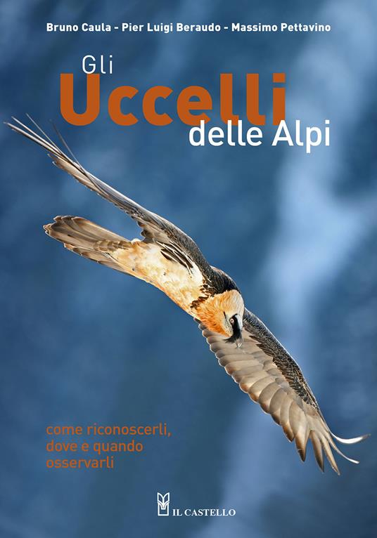 Gli uccelli delle Alpi. Come riconoscerli, dove e quando osservarli. Ediz. a colori - Bruno Caula,Pier Luigi Beraudo,Massimo Pettavino - copertina