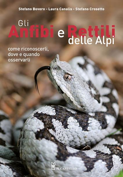 Gli anfibi e rettili delle Alpi. Come riconoscerli, dove e quando osservarli. Ediz. a colori - Stefano Bovero,Laura Canalis,Stefano Crosetto - copertina