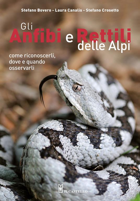 Gli anfibi e rettili delle Alpi. Come riconoscerli, dove e quando osservarli. Ediz. a colori - Stefano Bovero,Laura Canalis,Stefano Crosetto - copertina