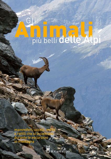 Gli animali più belli delle Alpi. Mammiferi, uccelli, anfibi e rettili che si incontrano durante le escursioni in montagna. Ediz. a colori - Pier Luigi Beraudo,Stefano Bovero,Laura Canalis - copertina