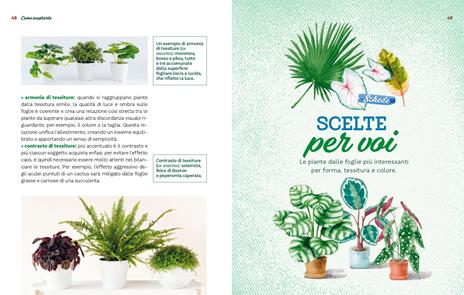Le piante da interno per un giardino in casa. Ediz. a colori - Eliana Ferioli - 5