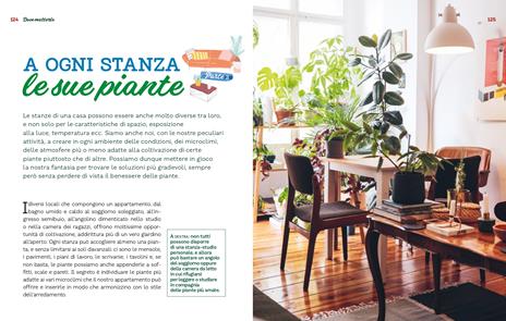 Le piante da interno per un giardino in casa. Ediz. a colori - Eliana Ferioli - 6