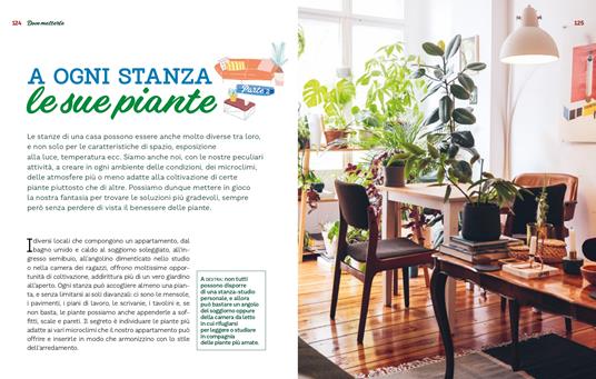 Le piante da interno per un giardino in casa. Ediz. a colori - Eliana Ferioli - 6