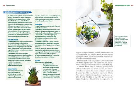 Le piante da interno per un giardino in casa. Ediz. a colori - Eliana Ferioli - 7