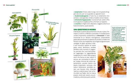 Le piante da interno per un giardino in casa. Ediz. illustrata - Eliana Ferioli - 3
