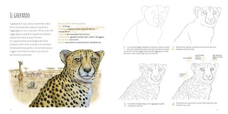 Disegniamo gli animali. Guida al disegno naturalistico con le matite colorate. Ediz. a colori - Annalisa Durante,Marina Durante - 6