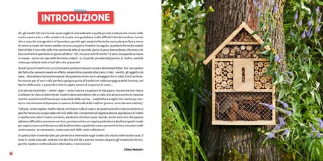 Strategie anti-parassiti per la casa - Chloé Metahri - 3