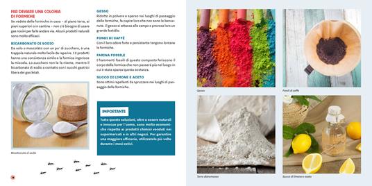 Strategie anti-parassiti per la casa - Chloé Metahri - 5