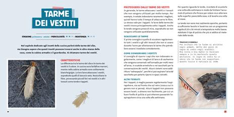 Strategie anti-parassiti per la casa - Chloé Metahri - 6