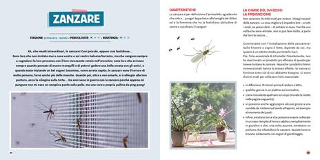 Strategie anti-parassiti per la casa - Chloé Metahri - 7