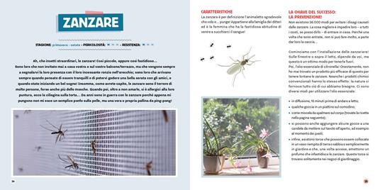 Strategie anti-parassiti per la casa - Chloé Metahri - 7