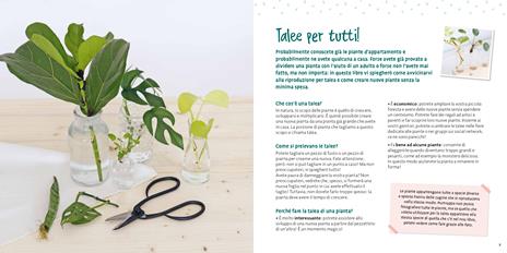 Come si fa una talea? Piccoli giardinieri. Ediz. a colori - Céline - 3