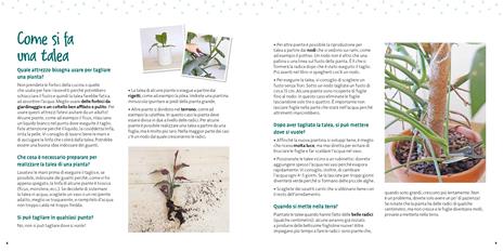 Come si fa una talea? Piccoli giardinieri. Ediz. a colori - Céline - 4