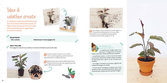 Come si fa una talea? Piccoli giardinieri. Ediz. a colori - Céline - 6