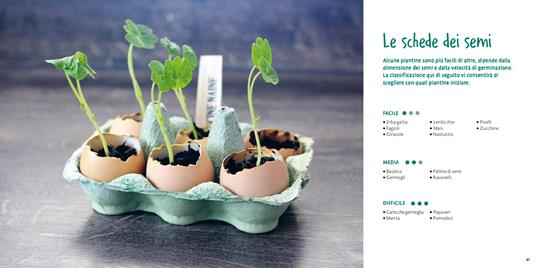 Come si pianta un seme? Piccoli giardinieri. Ediz. a colori - Lawrence Mériat - 5