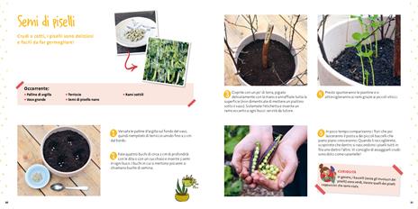 Come si pianta un seme? Piccoli giardinieri. Ediz. a colori - Lawrence Mériat - 6