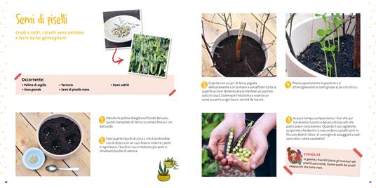 Come si pianta un seme? Piccoli giardinieri. Ediz. a colori - Lawrence Mériat - 6