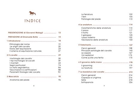 L'arte dell'equitazione. Manuale completo e illustrato - Andrea Pantano - 2