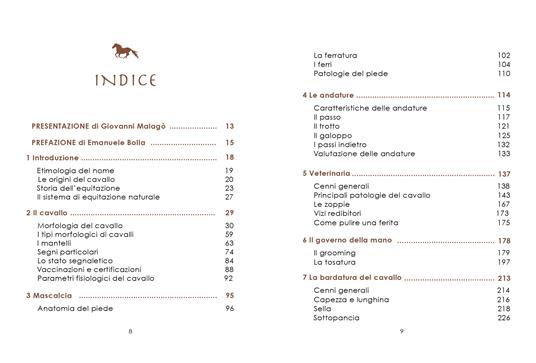 L'arte dell'equitazione. Manuale completo e illustrato - Andrea Pantano - 2