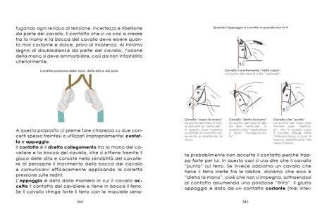 L'arte dell'equitazione. Manuale completo e illustrato - Andrea Pantano - 5