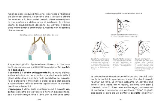 L'arte dell'equitazione. Manuale completo e illustrato - Andrea Pantano - 5