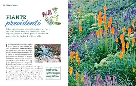 Un giardino a prova di siccità. Giardinaggio sostenibile per affrontare i cambiamenti climatici - Eliana Ferioli - 3