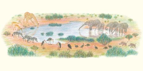 Disegnare animali con le matite colorate. Per principianti - Ai Akikusa - 7