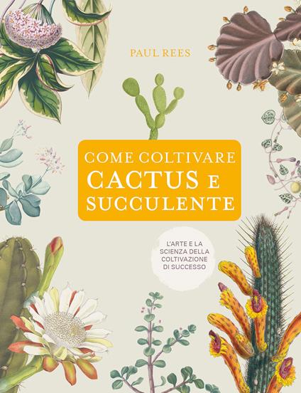 Come coltivare cactus e succulente - Paul Rees - copertina