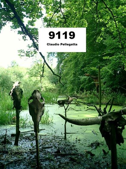 9119 - Claudio Pellegatta - ebook