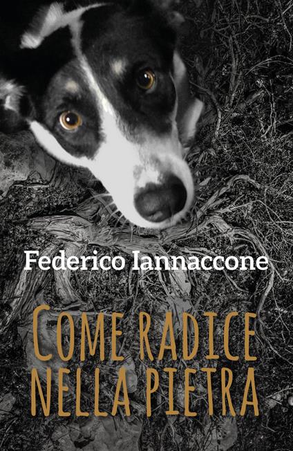 Come radice nella pietra - Federico Iannaccone - copertina