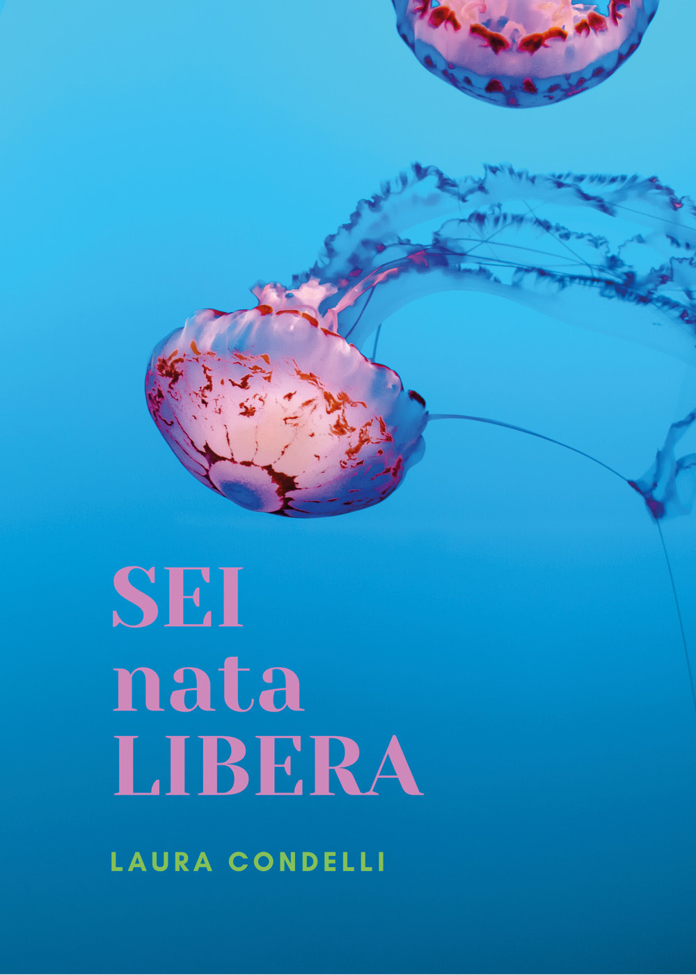 Libreria Libr'aria