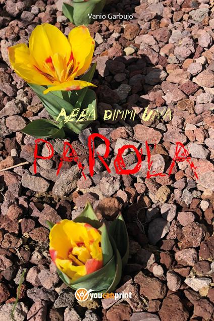 Abbà dimmi una parola - Vanio Garbujo - copertina