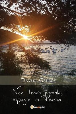 Non trovo parole, rifugio in poesia - Davide Gallo - copertina