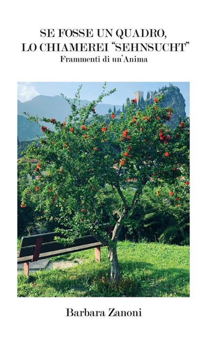 Se fosse un quadro, lo chiamerei «Sehnsucht». Frammenti di un'anima - Barbara Zanoni - ebook