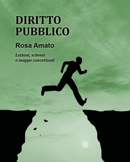 Diritto pubblico - Rosa Amato - copertina