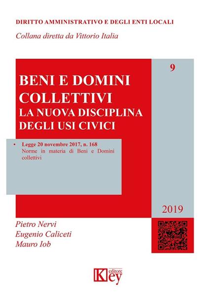 Beni e domini collettivi - Pietro Nervi,Eugenio Caliceti,Mauro Iob - copertina