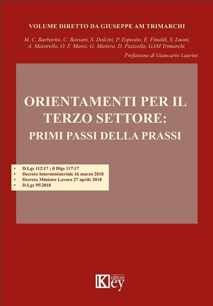 Orientamenti per il Terzo settore: Primi passi della prassi - AA.VV.,Giuseppe am Trimarchi - ebook