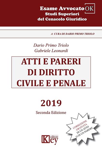 Atti e pareri di diritto civile e penale 2019 - Gabriele Leonardi,Dario Primo Triolo - ebook