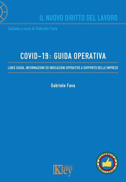 COVID-19: Guida Operativa - Gabriele Fava - ebook