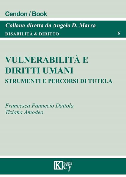 Vulnerabilità e diritti umani. Strumenti e percorsi di tutela - Francesca Panuccio Dattola,Tiziana Amodeo - copertina