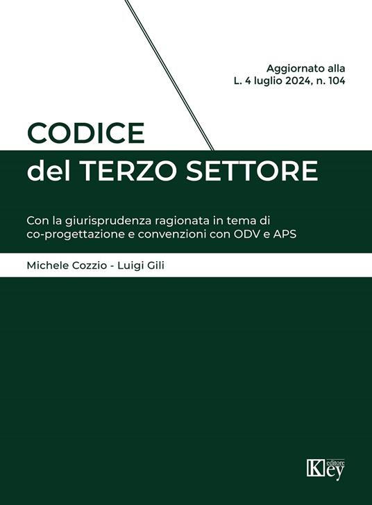 Codice del Terzo Settore - Michele Cozzio,Luigi Gili - ebook