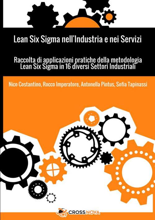 Lean Six Sigma nell'industria e nei servizi. Raccolta di applicazioni pratiche della metodologia Lean Six Sigma in 16 diversi settori industriali - Nico Costantino,Rocco Imperatore,Antonella Pintus - copertina