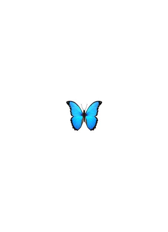 Mindfulness. Qui & ora - Parsifal Xotta - ebook