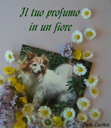 Il tuo profumo in un fiore - Paola Lucchesi - ebook