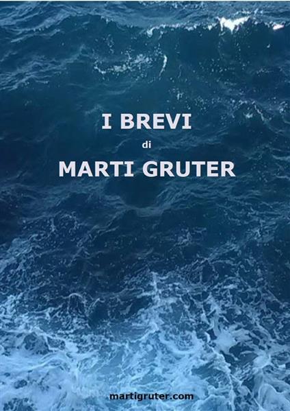 I brevi - Marti Gruter - ebook