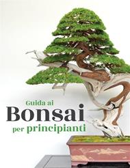 Guida ai bonsai per principianti