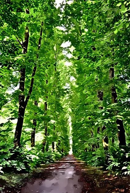 Il parco magico - Corrado Pirovano - ebook